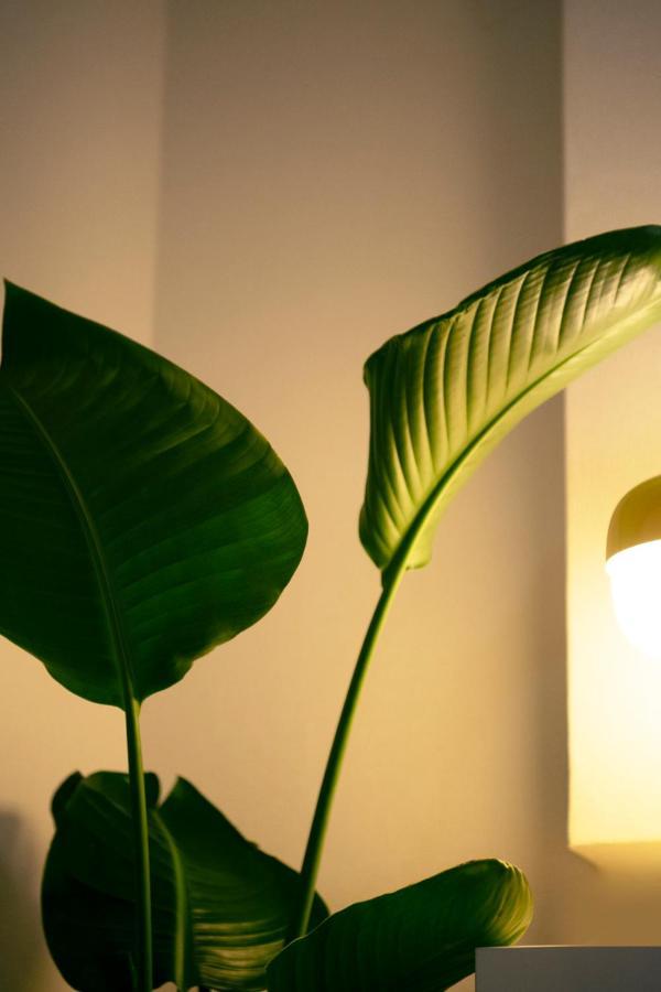 #9 3Mins To Station 1Stop To Shinjuku Stylish Apartment With Plenty Of Sunlight Токио Екстериор снимка